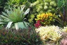 St Peters NSWplanting-garden-and-landscape-design-24.jpg; ?>