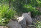 St Peters NSWplanting-garden-and-landscape-design-3.jpg; ?>