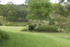 St Peters NSWplanting-garden-and-landscape-design-51.jpg; ?>